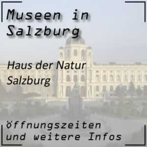 Dommuseum Salzburg Dommuseum Im Salzburger Dom