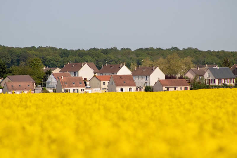 Leben im ländlichen Raum