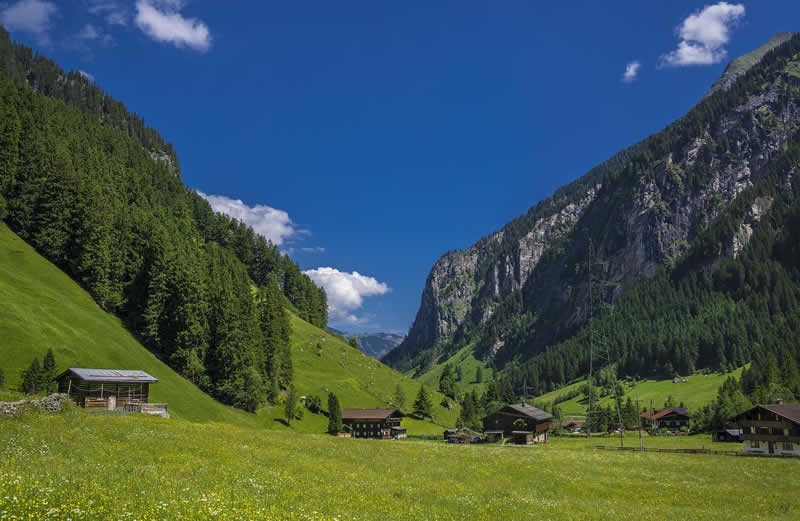 Wanderung mit Hund im Zillertal genießen